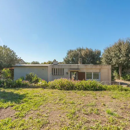 De La Brune Proche Plages *